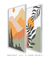 Conjunto 2 Quadros Decorativos Decorativos Boho Tons Suaves