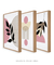 Imagem do Conjunto 3 Quadros Decorativos Boho Performace