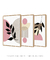 Conjunto 3 Quadros Decorativos Boho Performace