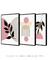 Conjunto 3 Quadros Decorativos Boho Performace na internet