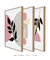 Conjunto 3 Quadros Decorativos Boho Performace - loja online