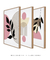 Imagem do Conjunto 3 Quadros Decorativos Boho Performace