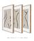Imagem do Conjunto 3 Quadros Decorativos Matisse Forma Feminina