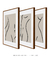 Conjunto 3 Quadros Decorativos Matisse Forma Feminina