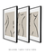 Conjunto 3 Quadros Decorativos Matisse Forma Feminina - Tons de Casa - Quadros Decorativos