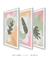 Conjunto 3 Quadros Decorativos Quadros Decorativos Boho Tons de Verde e Rosa - Tons de Casa - Quadros Decorativos