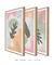 Conjunto 3 Quadros Decorativos Quadros Decorativos Boho Tons de Verde e Rosa - loja online