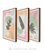 Conjunto 3 Quadros Decorativos Quadros Decorativos Boho Tons de Verde e Rosa - comprar online