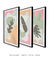 Conjunto 3 Quadros Decorativos Quadros Decorativos Boho Tons de Verde e Rosa - Tons de Casa - Quadros Decorativos