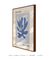 Quadro Decorativo Matisse Botanical Abstract Papiers - Tons de Casa - Quadros Decorativos