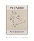 Quadro Decorativo Picasso Gato