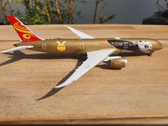 HAINAN AIRLINES BOEING 787-9 "KUNG FU PANDA" en internet