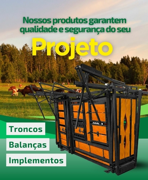 Carrossel 1