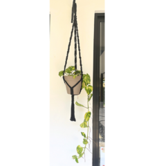 Colgante de plantas - Liana - Tablera Studio