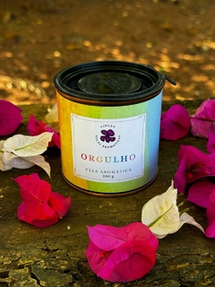 Vela Aromática - ORGULHO - 200g - Violet - Velas Aromáticas