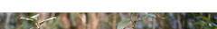Banner da categoria Kit Elegance