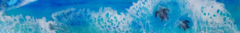 Banner da categoria Artes com Efeito Mar