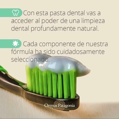 Imagen de Pastas Dentales Libres de Fluor Pineal Detox