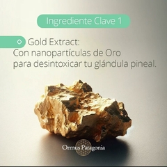 Pastas Dentales Libres de Fluor Pineal Detox - tienda online