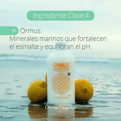 Pastas Dentales Libres de Fluor Pineal Detox en internet