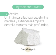 Pastas Dentales Libres de Fluor Pineal Detox - comprar online