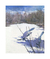 Arrendajos Azules en Invierno - Abbott Handerson Thayer en internet