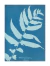 Anna Atkins - Cianotipo 02