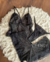 E103 - Pijama Artenia Negro
