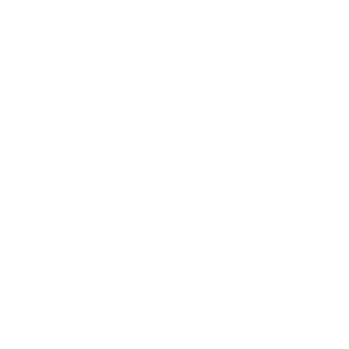 TrueStyle