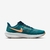 NIKE AIR ZOOM PEGASUS 39 na internet