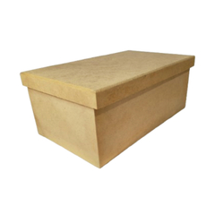 Caixa 25x15x10 Longneck