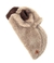 Moletom Urso Caramelo - comprar online