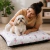Cama Pet Portátil e Confortável para Cães e Gatos de Pequeno e Médio Porte 70 cm x 60 cm - comprar online