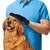 Luva Escova Nano Magnética Tira Pêlos Pets Cães & Gatos ENVIO IMEDIATO - Achadinhos.com