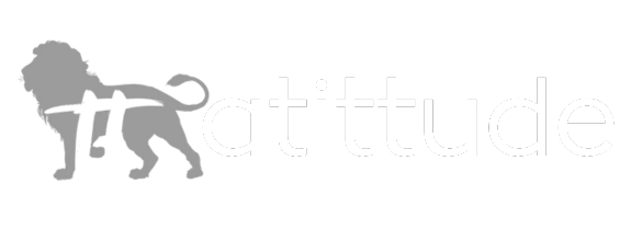 Atittude Store