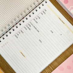 Kit Agenda + Duo Planner + Planner Diário + Calendário A5 na internet