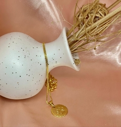 Colar pet plaquinha M patinha banhado a ouro18k - comprar online
