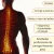 Colete EPI Corretor de Postura e Cinta Lombar Abdominal Reforçada - ClnStore