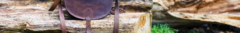 Banner de la categoría Carteras