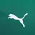 Camisa Palmeiras I 25/26 s/n Jogador Puma Masculina - Verde - loja online