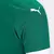 Imagem do Camisa Palmeiras I 25/26 s/n Jogador Puma Masculina - Verde