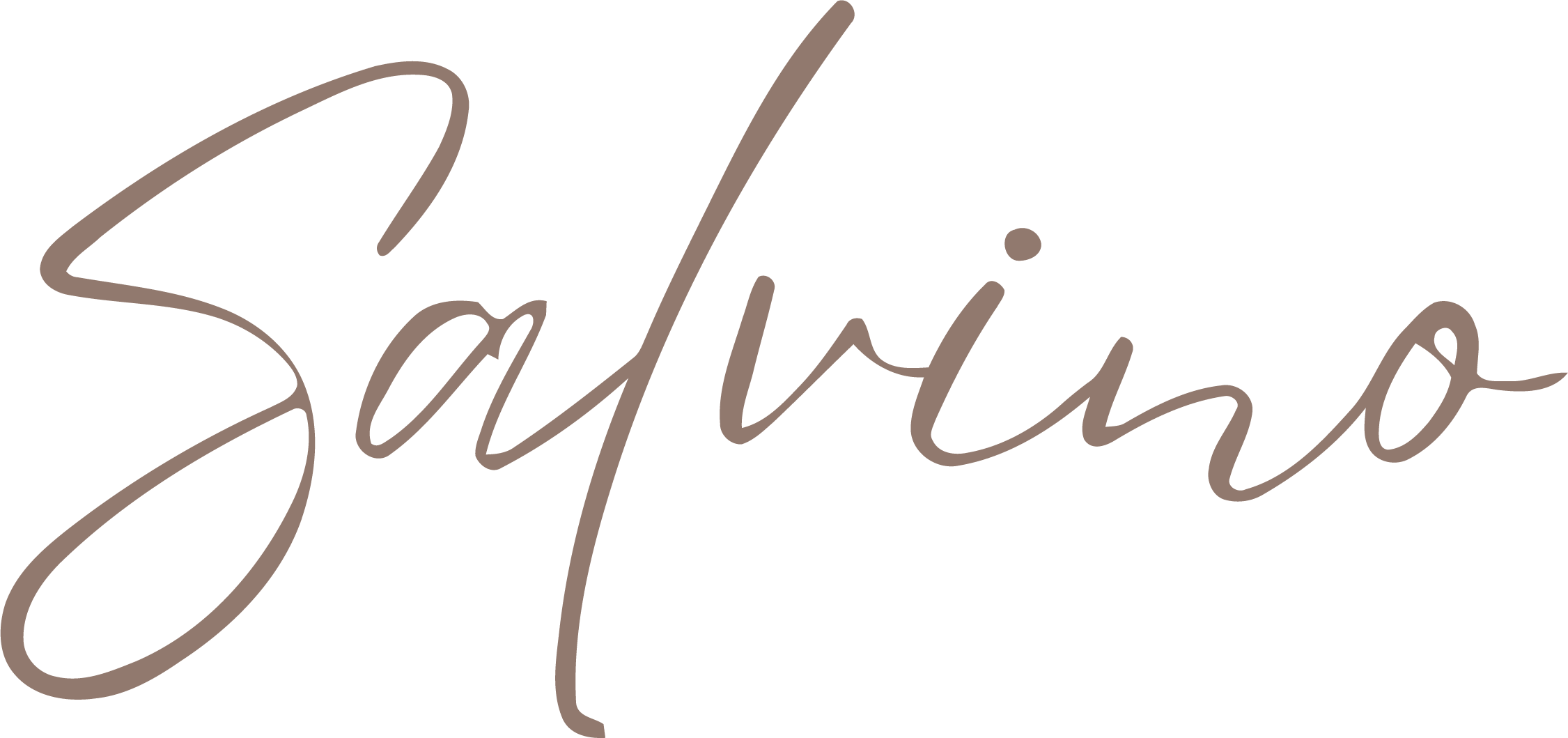Salvino