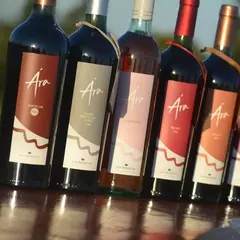 Vino Ara Tague 750ml Malbec Tardio - Bodega Los Aromitos - Prov. Entre Rios en internet