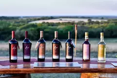 Vino Ara Tague 750ml Malbec Tardio - Bodega Los Aromitos - Prov. Entre Rios - Campo Vinado
