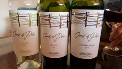 Vino Corral de Palos Reserva Malbec 750ml - Año 2021 - Bodega Corral de Palos - Prov. San Luis en internet