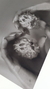 Fotos 13 X 18 cm - tienda online