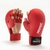 Guantes Karate PROYEC (631)