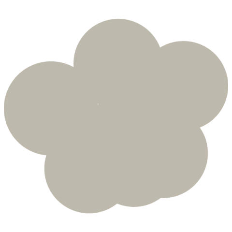 EFECTIVO y TRANSFERENCIA