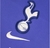 Camisa Tottenham II 22/23 Torcedor Nike - loja online