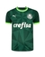 Camisa Palmeiras 1 2023 - Puma Torcedor